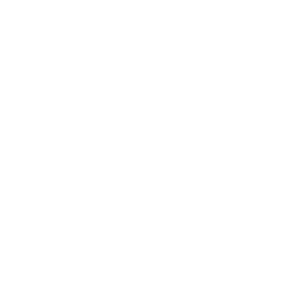 Insurance icon shield with check