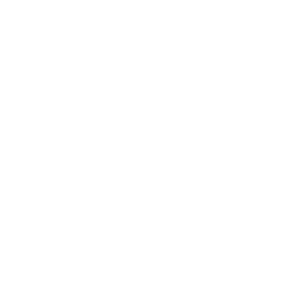 Line of credit icon